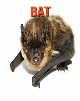 Paperback Bat: Amazing Facts about Bat Book