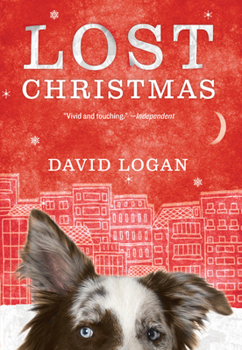 Hardcover Lost Christmas Book