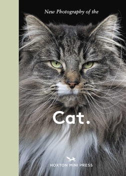 Hardcover New Photography of the Cat. Book