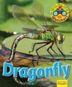 Paperback Wildlife Watchers: Dragonfly (Ruby Tuesday Readers) Book