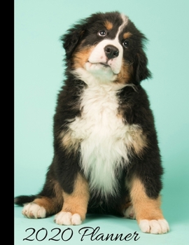 2020 Planner: Bernese Mountain Dog Cover - 2020 Monthly Planner Organizer Undated Calendar And ToDo List Tracker Notebook
