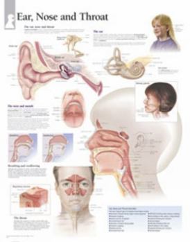 Misc. Ear, Nose & Throat Chart: Wall Chart Book