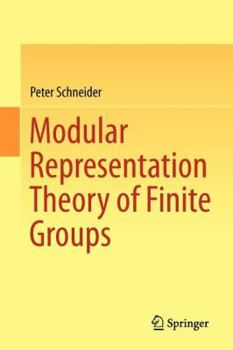 Paperback Modular Representation Theory of Finite Groups Book