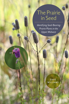 Paperback The Prairie in Seed: Identifying Seed-Bearing Prairie Plants in the Upper Midwest Book