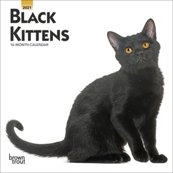 Calendar Black Kittens 2021 Mini 7x7 Book