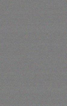 The Avenger - Book #3 of the Time Raiders