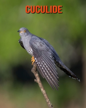 Cuculide: Immagini bellissime e fatti interessanti Libro per bambini sui Cuculide (Italian Edition)