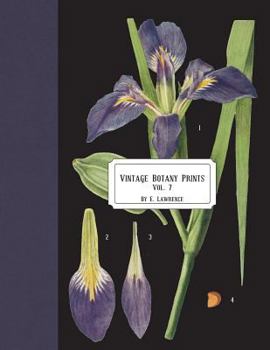 Paperback Vintage Botany Prints: Vol.7 Book