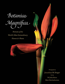 Hardcover Botanica Magnifica: Portraits of the World's Most Extraordinary Flowers and Plants Book