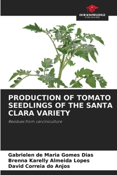 Paperback Production of Tomato Seedlings of the Santa Clara Variety Book