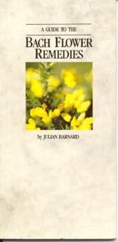 The World Within - An Explanation of What Reincarnation Holds for the Tragedies And Frustrations of Daily Life