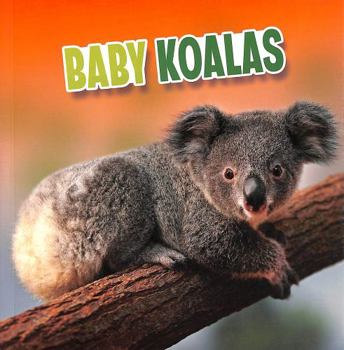 Paperback Baby Koalas (Baby Animals) Book