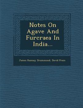 Paperback Notes on Agave and Furcraea in India... Book