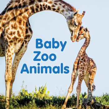 Board book Baby Zoo Animals Book
