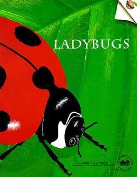 Paperback Ladybugs (Old Edition) Book