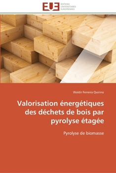 Paperback Valorisation énergétiques des déchets de bois par pyrolyse étagée [French] Book