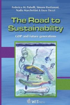 Hardcover The Road to Sustainability: Gdp and Future Generations Book