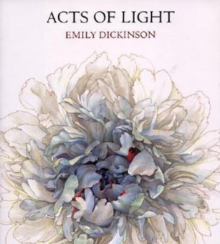 Hardcover Acts of Light Book