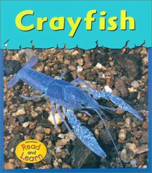 Library Binding Crayfish Book