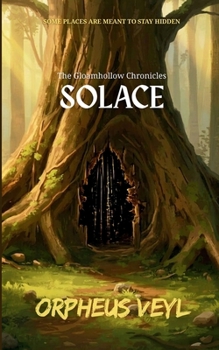 Paperback Solace Book