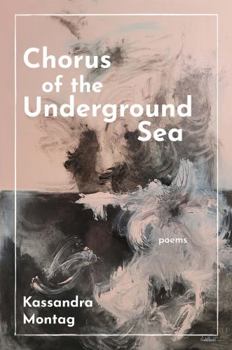 Perfect Paperback Chorus of the Underground Sea Book