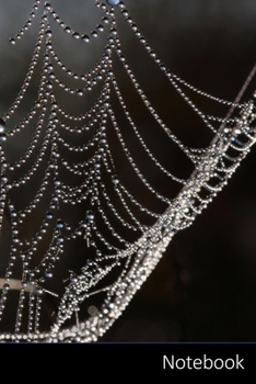 Paperback Notebook: Morgentau, Cobweb, Dew, Dewdrop Notebook / Journal / Diary / Composition book - 6 x 9 inches (15,24 x 22,86 cm), 150 p Book