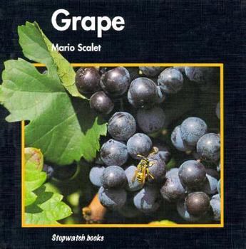 Hardcover Grape (Stopwatch) Book