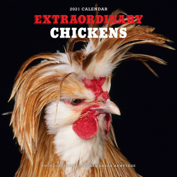 Calendar Extraordinary Chickens 2021 Wall Calendar Book