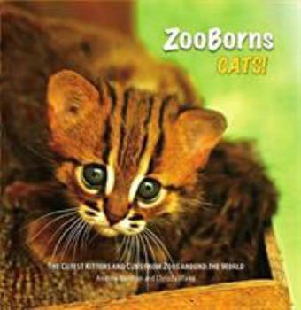 Hardcover Zooborns: The Newest and Cutest Exotic Cats from Zoos Around the World!. by Andrew Bleiman, Chris Bleiman and Chris Eastland Book