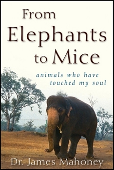 Paperback From Elephants to Mice: Animals Who Have Touched My Soul Book