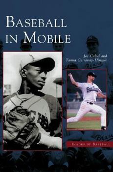 Hardcover Baseball in Mobile Book