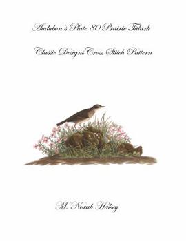 Paperback Audubon's Plate 80 Prairie Titlark: Classic Designs Cross Stitch Pattern Book