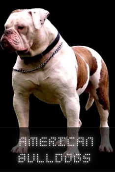 American Bulldog: Complete breed guide