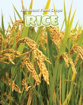 Rice - Book  of the All About Food Crops