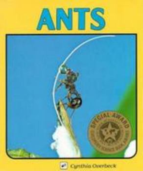 Paperback Ants Book