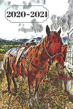 Paperback Brown Horse in Rocky Mountains Dated Calendar Planner 2 years To-Do Lists, Tasks, Notes Appointments: Cute Small Pocket/Purse Size at-A-Glance Schedul Book