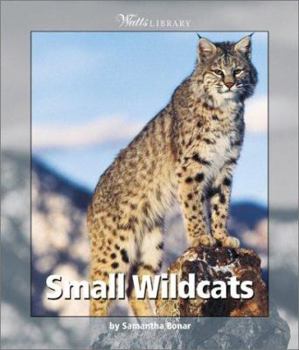 Paperback Small Wildcats Book