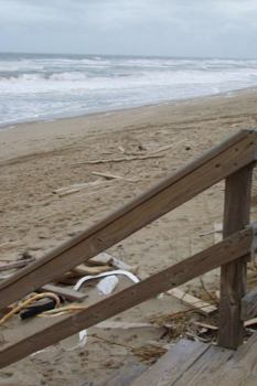 Paperback Water Sandwiches and Dusty Melons Book