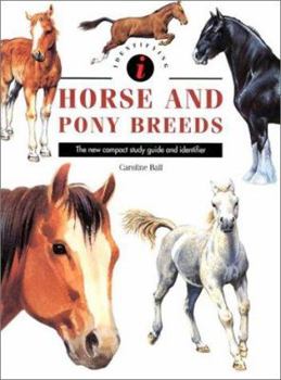 Hardcover Identifying Horse & Pony Breeds Book