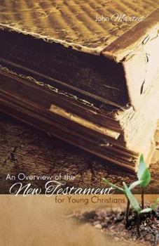 Paperback An Overview of the New Testament for Young Christians Book