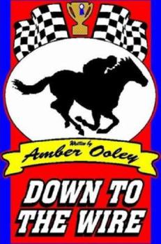 Paperback Down to the Wire Book