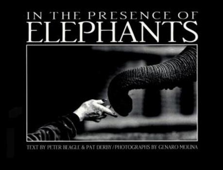 Paperback In the Presence of Elephants Book