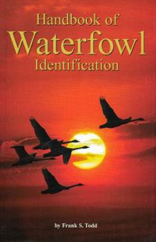 Paperback Handbook of Waterfowl Identification Book