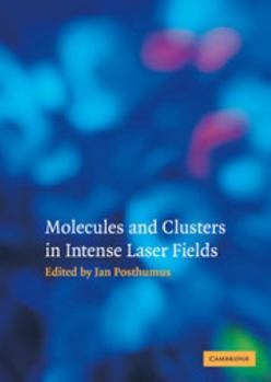 Hardcover Molecules and Clusters in Intense Laser Fields Book