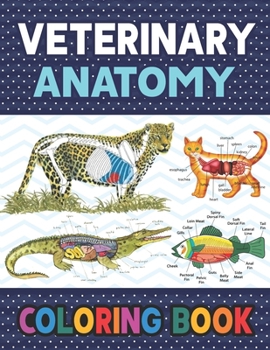 Paperback Veterinary Anatomy Coloring Book: Fun and Easy Veterinary Anatomy Coloring Book for Kids. The New Surprising Magnificent Learning Structure For Veteri Book