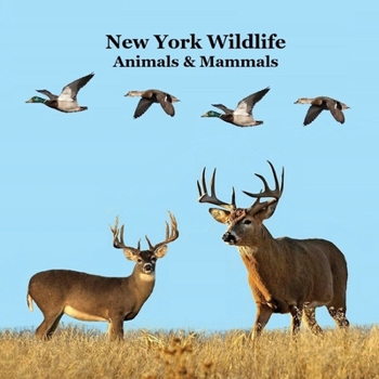 New York Animals and Mammals Kids Wildlife Book: Great Wildlife Book about Animals and Mammals in New York
