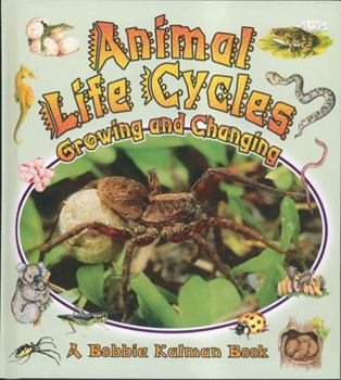 Hardcover Animal Life Cycles: Growing and Changing Book