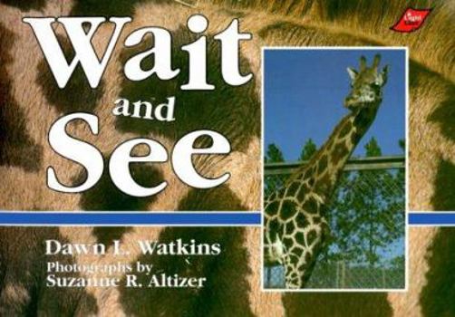 Paperback Wait and See Book