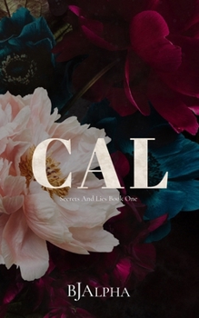 Paperback CAL Discreet Cover: Secrets and Lies Discreet Book 1 Book