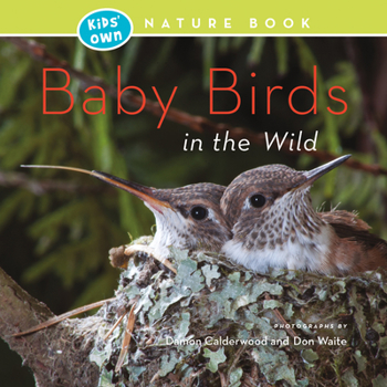 Paperback Baby Birds in the Wild Book